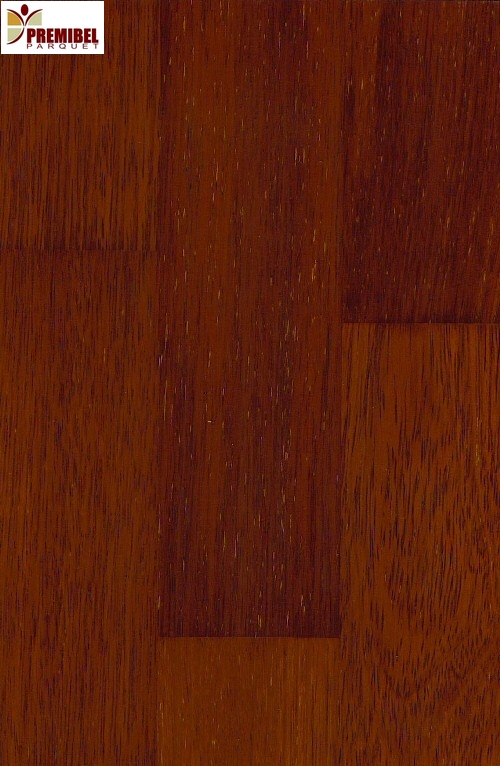 colle-parquet